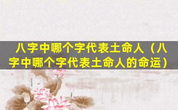 八字中哪个字代表土命人（八字中哪个字代表土命人的命运）