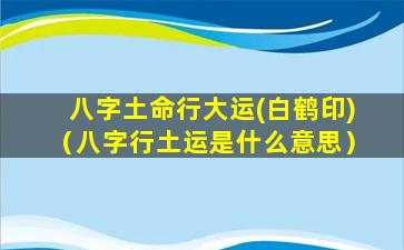 八字土命行大运(白鹤印)（八字行土运是什么意思）
