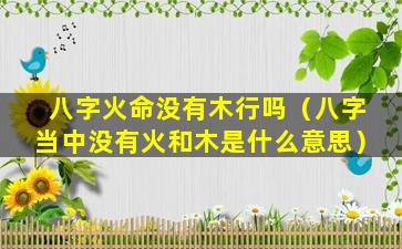 八字火命没有木行吗（八字当中没有火和木是什么意思）