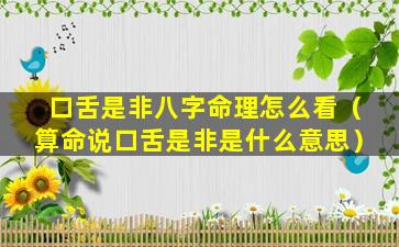口舌是非八字命理怎么看（算命说口舌是非是什么意思）