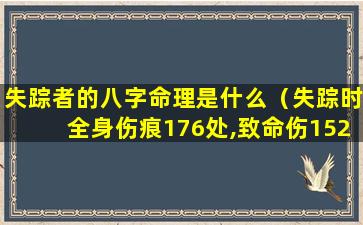 失踪者的八字命理是什么（失踪时全身伤痕176处,致命伤152处）