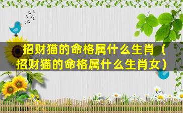招财猫的命格属什么生肖（招财猫的命格属什么生肖女）