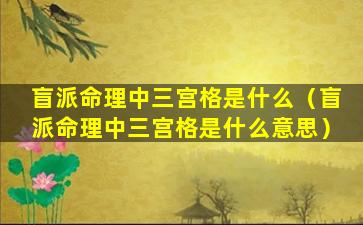 盲派命理中三宫格是什么（盲派命理中三宫格是什么意思）