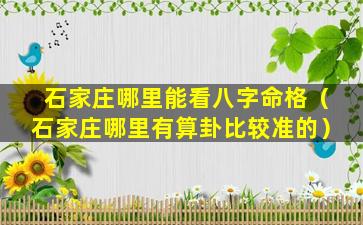 石家庄哪里能看八字命格（石家庄哪里有算卦比较准的）