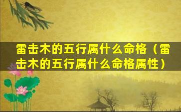 雷击木的五行属什么命格（雷击木的五行属什么命格属性）