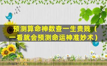 预测算命神数查一生贵贱（一看就会预测命运神准妙术）